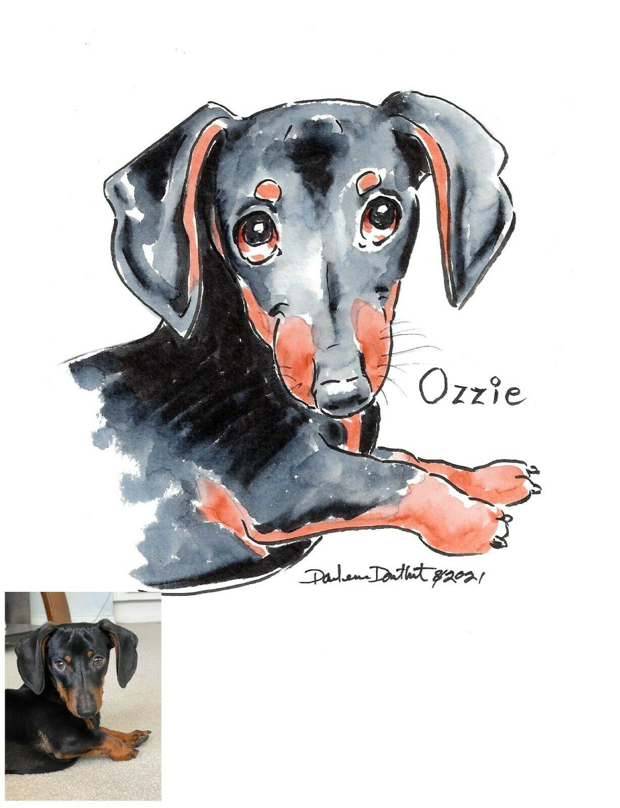 Custom Caricature Dachshund,cat,pet, Bust From Your Photo Sent As Digital File